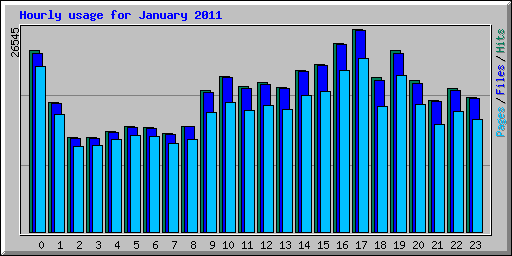 Hourly usage for January 2011